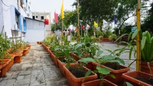 Gardening in Prabhat Kids School