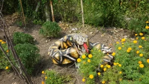 Gardening in Prabhat Kids School